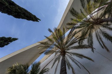Valencia, İspanya - 05 07 2022: Valencia Sanat ve Bilim Şehri 'nde Sanat Sarayı (Palau de les Arts Reina Sofia).