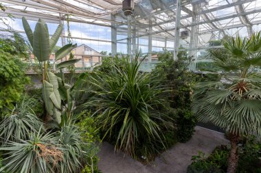 Padua, İtalya - 06 10 2022: Padua 'da bir yaz günü Botanik Bahçesinde Biyolojik Çeşitlilik Bahçesi.