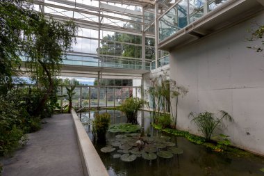 Padua, İtalya - 06 10 2022: Padua 'da bir yaz günü Botanik Bahçesinde Biyolojik Çeşitlilik Bahçesi.