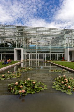 Padua, İtalya - 06 10 2022: Padua 'da bir yaz günü Botanik Bahçesinde Biyolojik Çeşitlilik Bahçesi.