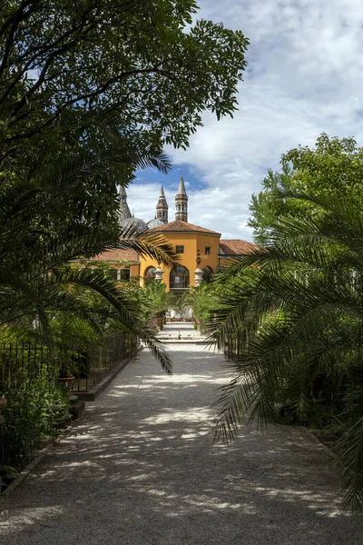 Padwa Włochy 2022 Ogród Botaniczny Uniwersytetu Padwa Padwie Letni Dzień — Zdjęcie stockowe