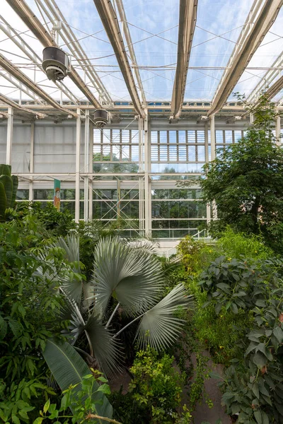 Padua Italien 2022 Der Garten Der Artenvielfalt Botanischen Garten Padua — Stockfoto