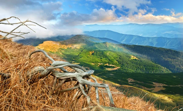 Paisagem nas Montanhas Cárpatas — Fotografia de Stock