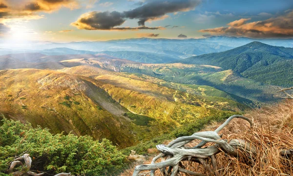 Cumes de montanha em Cárpatos — Fotografia de Stock