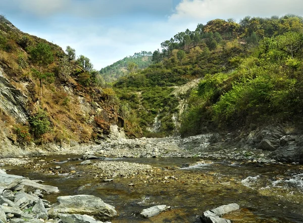 Mountain river. Himalayas, Uttarakhand — Stock Photo, Image