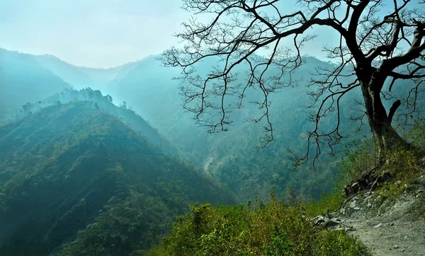 Cordilheiras azuis cianas no Himalaia — Fotografia de Stock