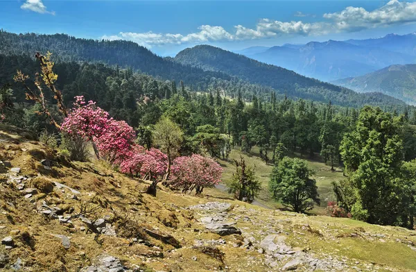 Pasma górskie Himalajów. Indie — Zdjęcie stockowe