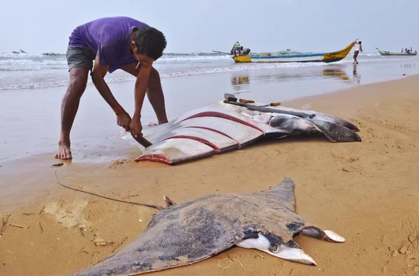 Fishing in the village Vadarevu. Andhra Pradesh, India — Stock Photo, Image