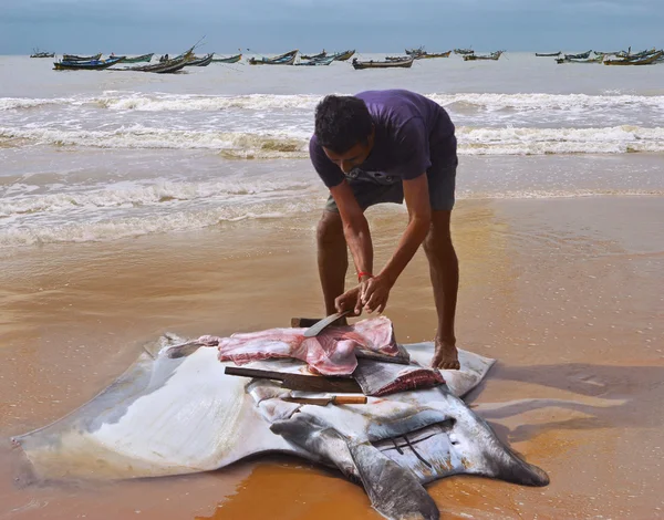 Fisherman carve of meat from a manta ray — Stock Photo, Image