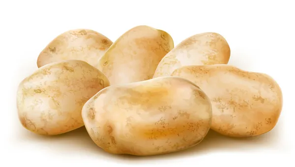 Tubos de batata — Vetor de Stock