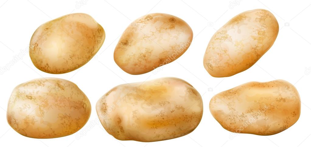 Potato tubers on a white background