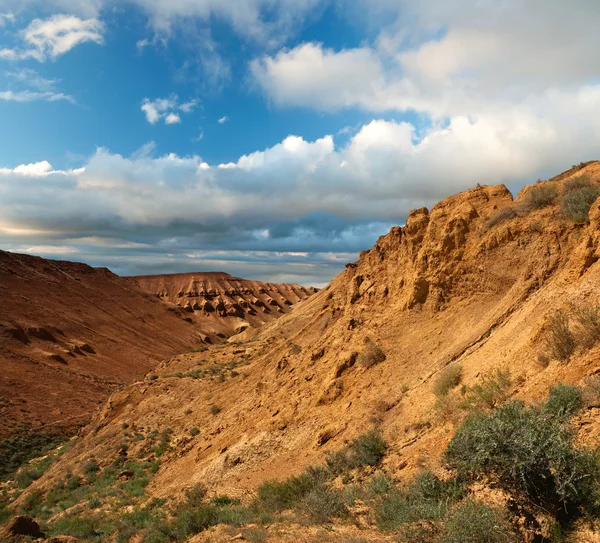 Plateau Ustyurt au Kazakhstan — Photo