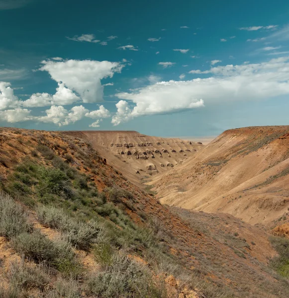 Pendii desertici Ustiurt — Foto Stock