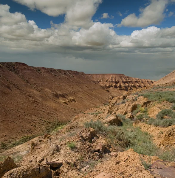 Ustyurt altopiano deserto paesaggio — Foto Stock