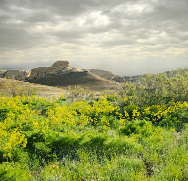 Dağlar shalkar-Tolga — Stok fotoğraf