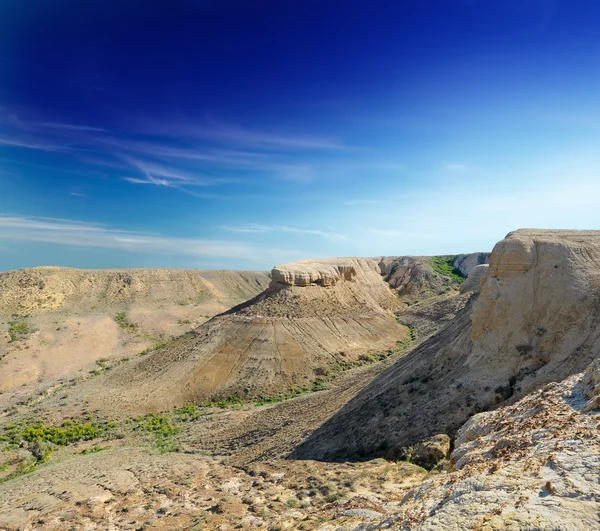 高原シャルカルぬの斜面。ustyurt — ストック写真