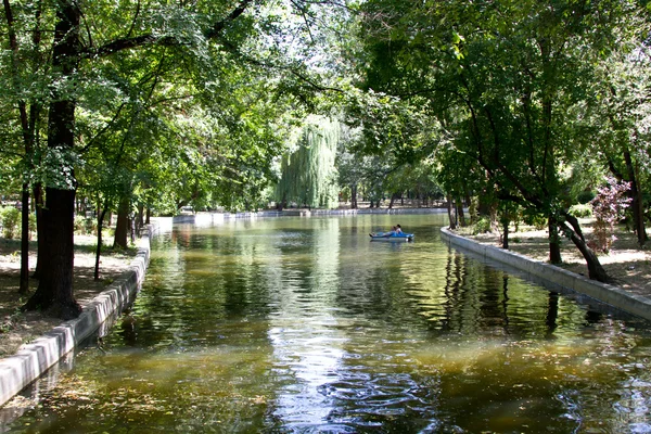 Park landscape in summer — Stock Photo, Image