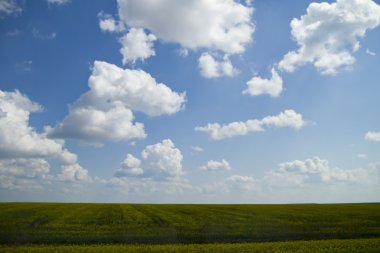 bulutlu gökyüzü mavi ile yeşil tarlalar