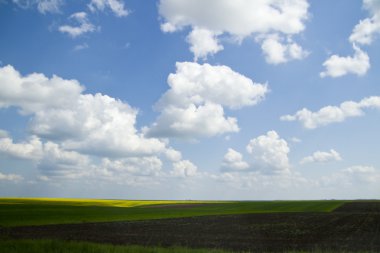 bulutlu gökyüzü mavi ile yeşil tarlalar