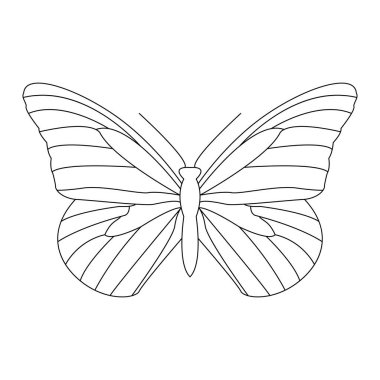 Beyaz arkaplandaki güzel kelebek çizimi. Boyama kitabı.
