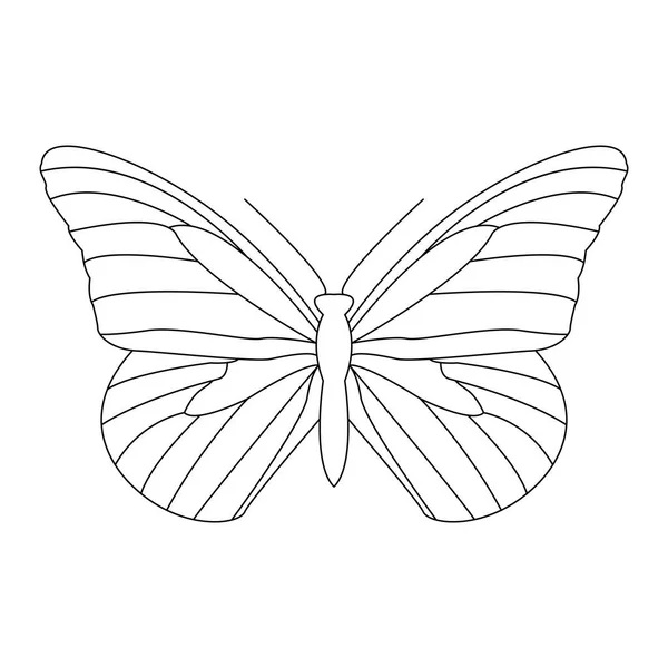 Gyönyörű Pillangó Fehér Háttér Illusztráció Színező Könyv — Stock Vector
