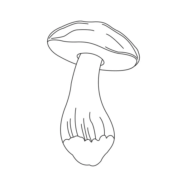 Champignon Vecteur Sur Fond Blanc Illustration Bio Sain — Image vectorielle