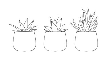 Beyaz Arkaplanda İzole Edilmiş Siyah ve Beyaz Eskiz Evi Vektör Şirin Kaktüsünün Sürekli Çizimi.