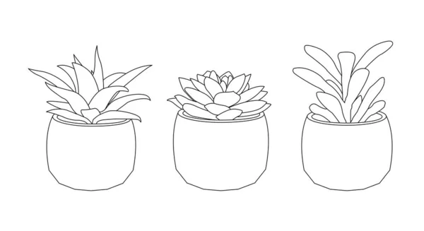 Kontinuierliche Linienzeichnung Von Vector Cute Cactus Schwarz Weiß Skizze Hauspflanzen — Stockvektor