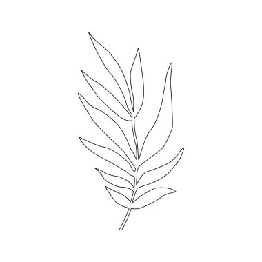 Tropikal Yapraklar karalama tarzında. Vektör el çizilmiş siyah çizgi tasarım elementleri. Botanik çizimler.