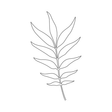 Tropikal Yapraklar karalama tarzında. Vektör el çizilmiş siyah çizgi tasarım elementleri. Botanik çizimler.