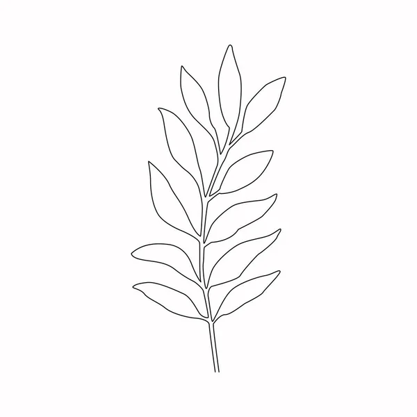 Plantilla Diseño Botánico Para Cubiertas Minimalistas Impresión Camisetas Tarjetas Postales — Vector de stock