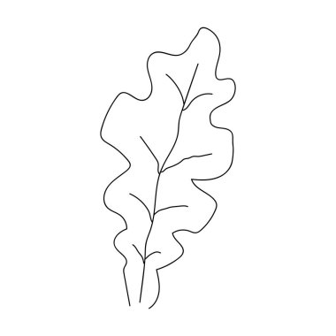 Tek çizgi halinde büyüyen meşe filizi. Bitki eko doğal tarım konsepti tasarımı.