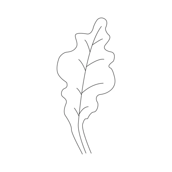 Single Continuous Line Art Growing Oak Sprout Plant Eco Natural — Wektor stockowy