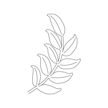 Festival ve düğün ürünleri tasarımı için vektör unsurlar. Dallar, bitkiler, damlalar ve yapraklar. Satır sanatı.