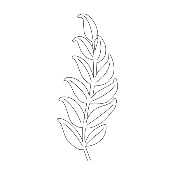 Vector Elements Design Festive Wedding Products Twigs Plants Drops Leaves — Wektor stockowy