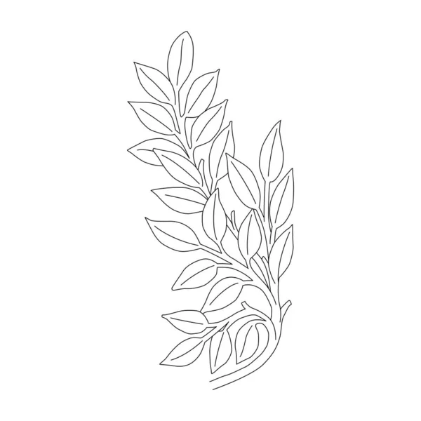 Vector Elements Design Festive Wedding Products Twigs Plants Drops Leaves — Image vectorielle