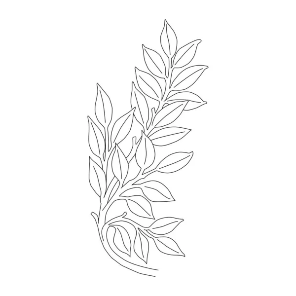 Vector Elements Design Festive Wedding Products Twigs Plants Drops Leaves — Image vectorielle