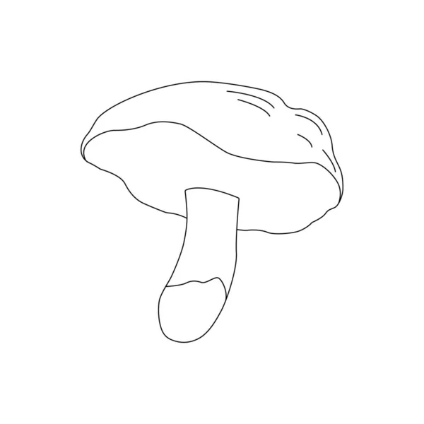 Vector Illustration Drawn Hand Family Different Mushrooms Graphic Drawing Lines — Stok Vektör