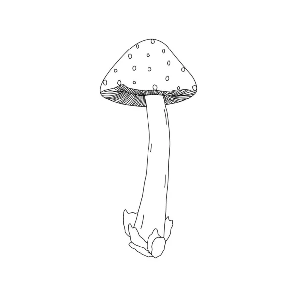 Vector Illustration Drawn Hand Family Different Mushrooms Graphic Drawing Lines — 图库矢量图片