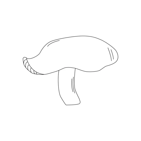 Mushroom Doodle Various Mushrooms Hand Drawn Sketch — Vettoriale Stock