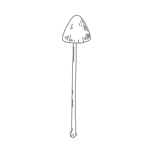 Edible Mushrooms Vector Illustration Drawn Family Different Graphic Drawing Lines — Διανυσματικό Αρχείο