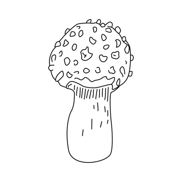 Mushrooms Isolated White Ink Line Vector Black White Graphics Morels — Vector de stock