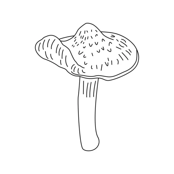 Mushrooms Isolated White Ink Line Vector Black White Graphics Morels — Vector de stock