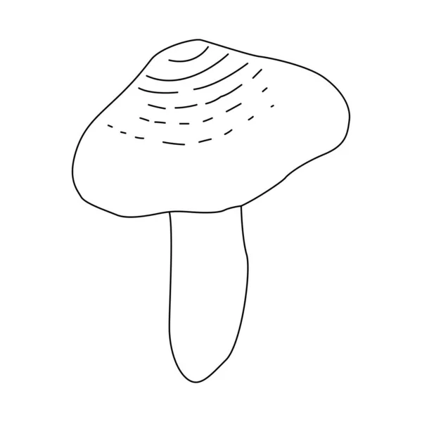 Illustration Mushrooms Background Vintage Vector Illustration — Stok Vektör