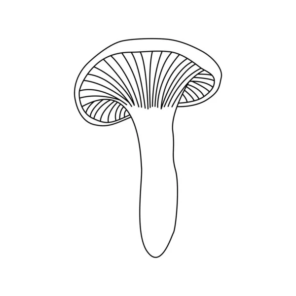 Illustration Mushrooms Background Vintage Vector Illustration — Stok Vektör