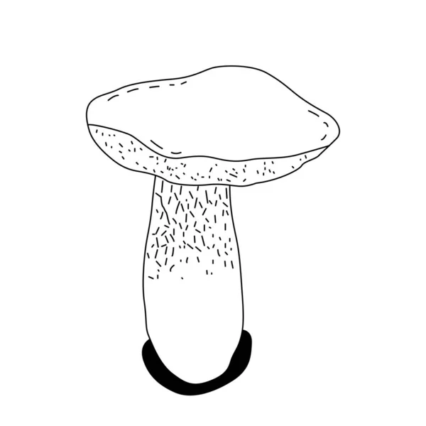 Giftige Pilze Vector Illustration Gezeichnet Ungenießbare Pilze Weißer Hintergrund — Stockvektor