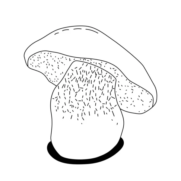 Poisonous Mushrooms Vector Illustration Drawn Inedible Mushrooms White Background — Vettoriale Stock