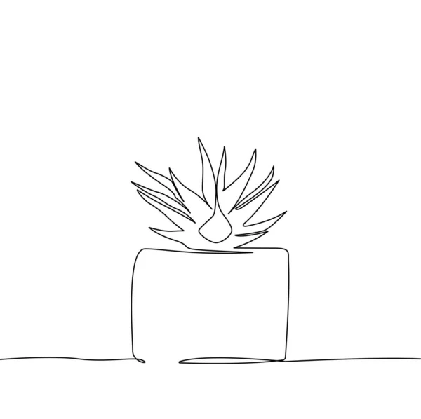 Cactus Black White Sketch House Plants Isolated White Background Potted — 图库矢量图片
