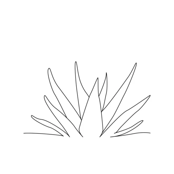 Hand Drawn Line Succulent Plant Isolated White Background Vector Illustration — 图库矢量图片