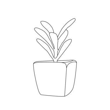 line icons. Succulent, tropical plant vector illustrations, thin signs for organic food, cosmetic.